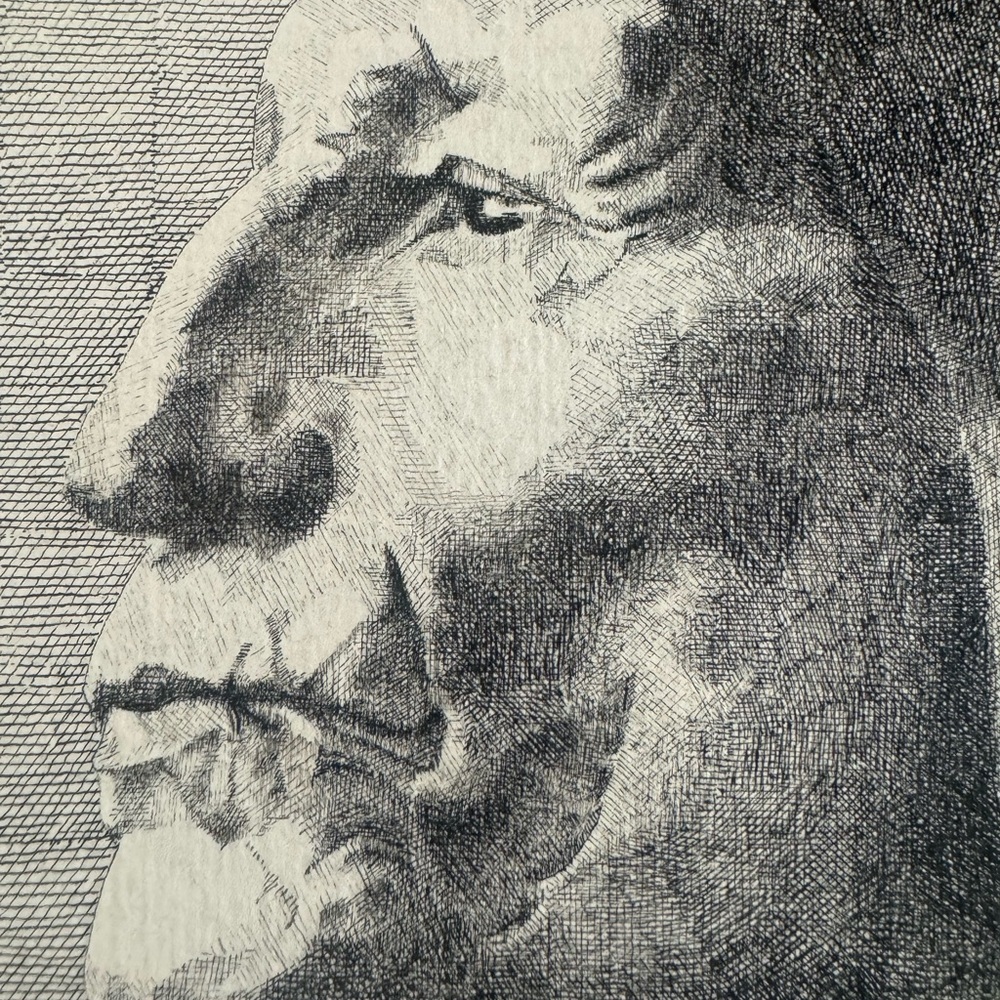 Hand drawn Native American Chief sketch by A.B. Rope . 10x13 - Picture 3 of 3
